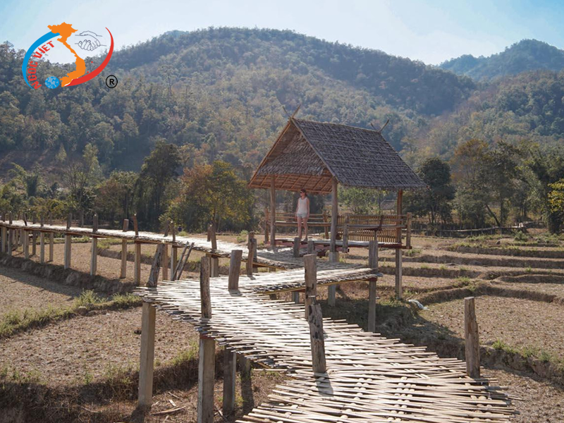 Buddha Bamboo Bridge Pai