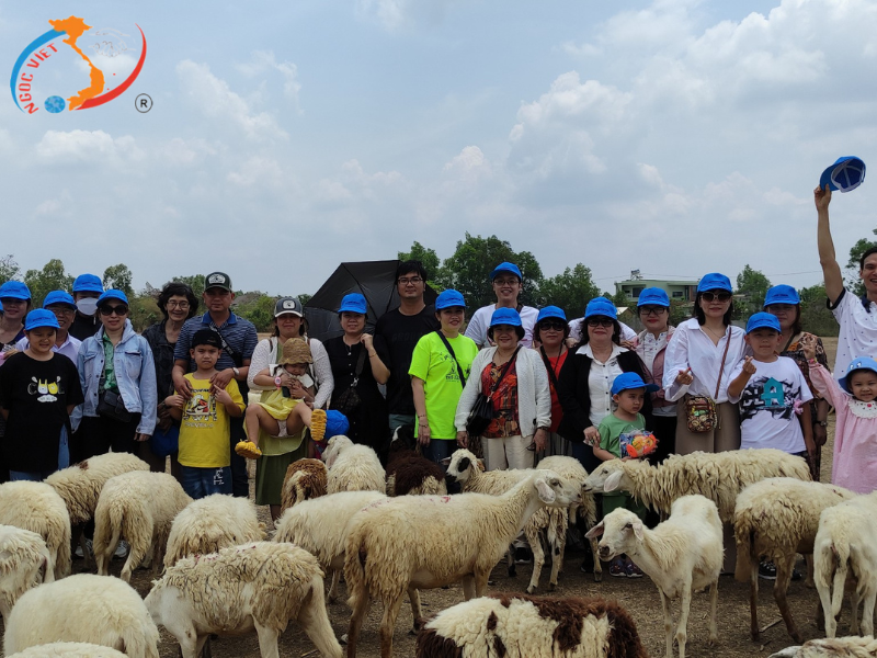 TOUR VŨNG TÀU 3 NGÀY - KDL.HỒ MÂY - LÀNG BÈ LONG SƠN - Team Building