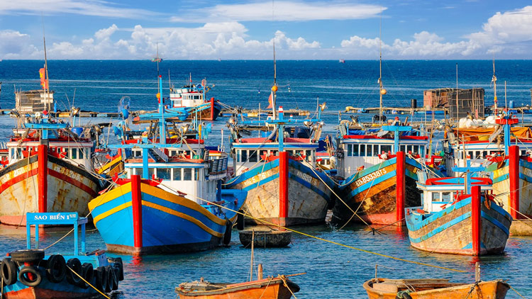 TOUR PHÚ QUÝ 3N2Đ NÉT ĐẸP NẰM ẨN MÌNH TRÊN ĐẢO XA