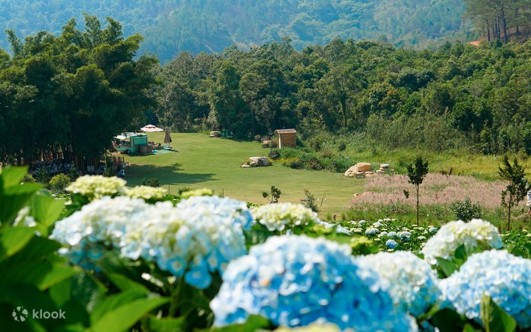 TOUR NHA TRANG - ĐÀ LẠT